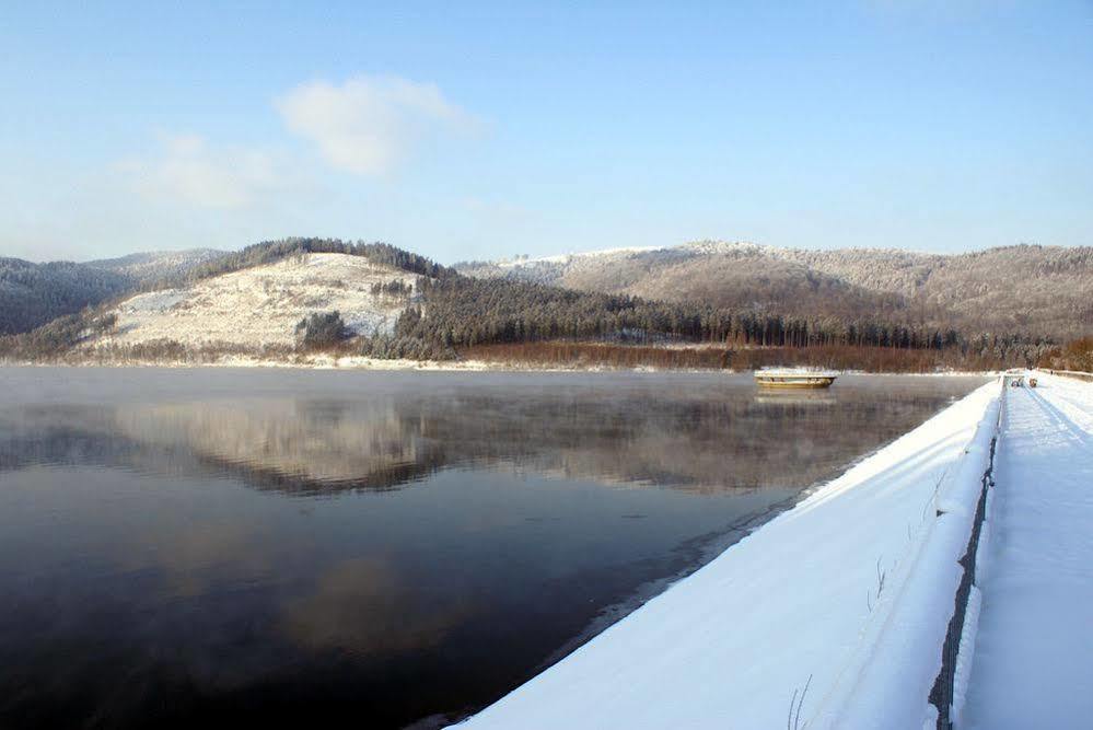 Hotel Berghof Am See Lautenthal Εξωτερικό φωτογραφία
